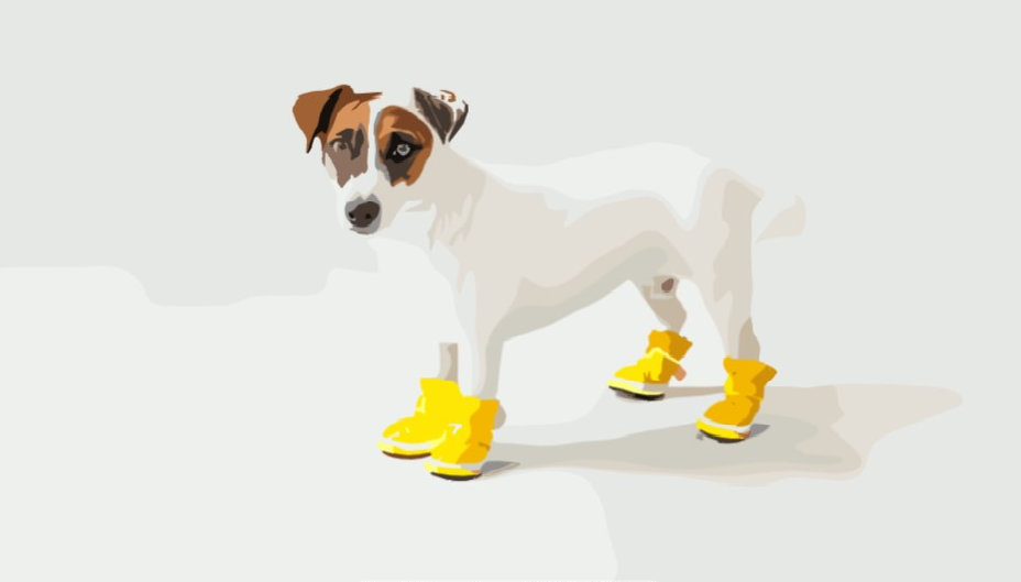 A Dog, Shoes & Boots
